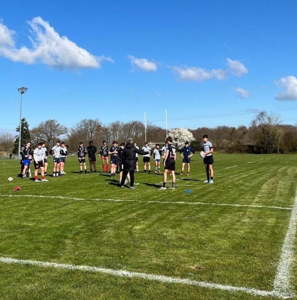 CEL_64979ec0-8de6-445e-8d69-6f9cdd4d3ce9