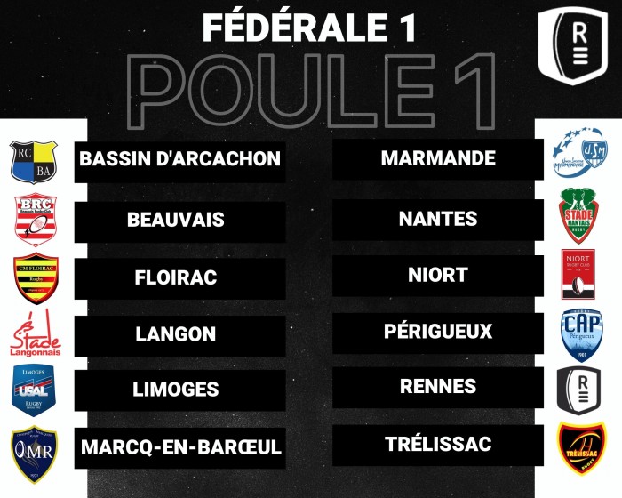 Poule1