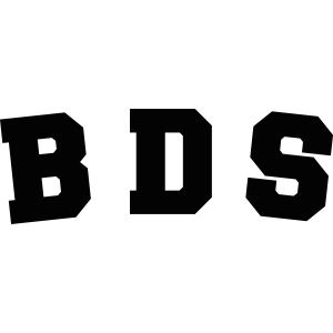 GROUPE BDS